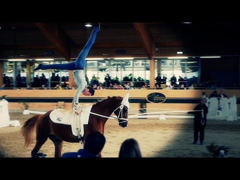 Österreichs Voltigierer im Videoportrait - EQWOtv