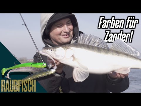 Welche Farbe wollen Zander? Tipps von Veit Wilde