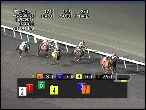 2011 South Ocean Stakes