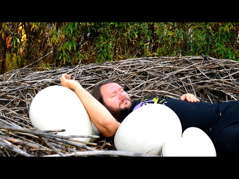 Zenek Grabowski - Budzik (oficjalny klip z albumu "O!")