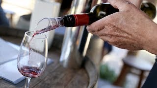 Visiting the Hunter Valley Boutique Tours - Australia