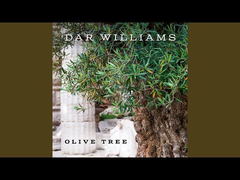Video thumbnail for Olive Tree