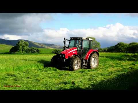Mowing for Silage - Cab Ride in MF 5445.