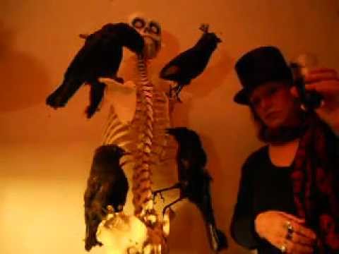 download lagu mp3 mp4 Jaardag, download lagu Jaardag gratis, unduh video klip Jaardag