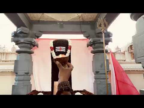 Shared Video: PwDSxVb8Jpc