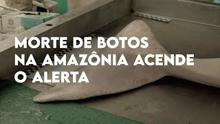 Miniatura do vídeo