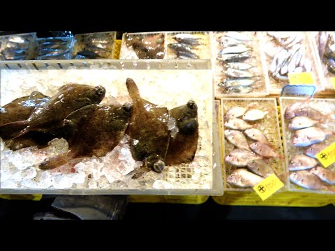 市場で売られていた瀕死のカレイを水槽に入れると…