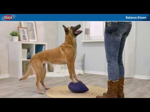 TRIXIE - Dog Activity Balance-Kissen