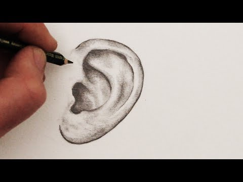 download lagu mp3 mp4 Clip Art Images Ear, download mp3 Clip Art Images Ear free download, download mp3 Clip Art Images Ear