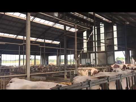 Abbifan XXP Ventilateur - Nouvelle version performante et économique pour élevage - Agriest_5