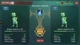 [Merge Pet] Utopia Origin: First Fly Dragon Pet =  2X Green Lizard lvl 10