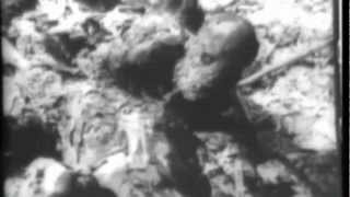 Ghost Dream - Blouse