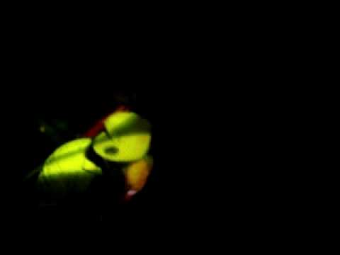 HDM - Don Bosco Love