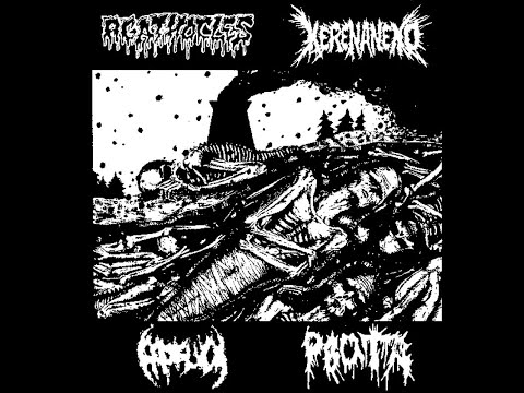 AGATHOCLES / KERENANEKO / PROSUCK / RVOTA - 4way Split CD (2011)