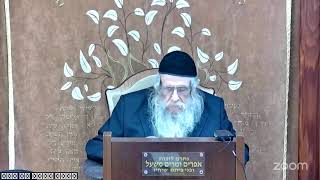 הרה"ג הרב וועכטר שליט"א כ"ו כסלו תשפ"ה - מאמר הרבי תשמ"א ד"ה פדה בשלום (הרב אברהם מנחם מענדל וכטר) - התמונה מוצגת ישירות מתוך אתר האינטרנט יוטיוב. זכויות היוצרים בתמונה שייכות ליוצרה. קישור קרדיט למקור התוכן נמצא בתוך דף הסרטון