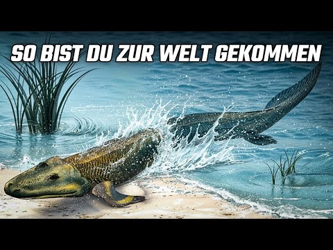 Die Wahre Geschichte des Planeten: Vom Urknall bis Heute 🌍 | Vollständige Doku