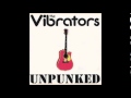 the vibrators unpunked