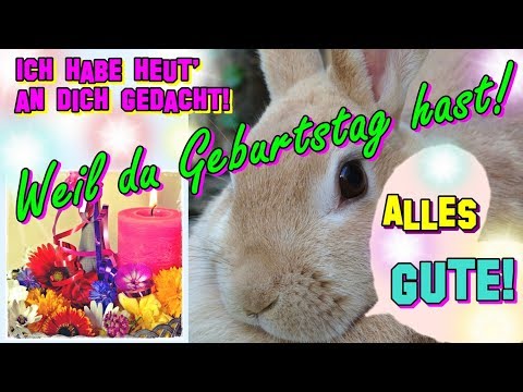 süße Geburtstagsgrüße, Geburtstagslied, süße Kaninchen wünschen alles Gute | Herzlichen Glückwunsch