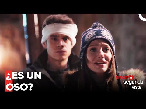 Choque Oso A Las Vacaciones De Nieve - Amor a Segunda Vista