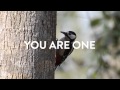 Bold and Playful New Ad Campaign for Playtex Fresh + Sexy Intimate Wipes Is Awesome