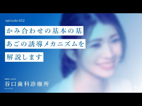 第32話 かみ合わせの基本の基❗️あごの誘導メカニズムを解説します -札幌駅前-赤れんがテラス-谷口歯科診療所