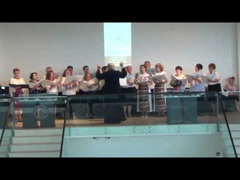 ”Heruvic”, Ioan Cristu Danielescu