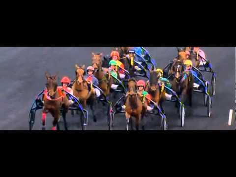 Prix Paul Leguerney 2013_Varade D'Hermine_J.M. Bazire