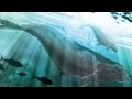 Trailer Love 2 - Le renard 