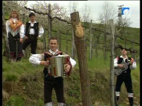 Ansambel Vrtnica - Naš bric