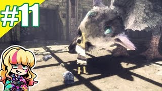 #11【ゲーム実況】あこの「人喰いの大鷲トリコ」