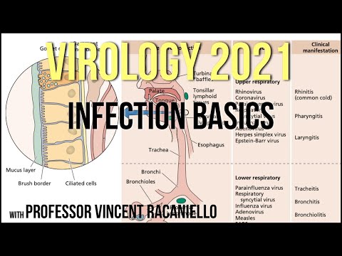 Virology Lectures 2021 #12 - Infection Basics