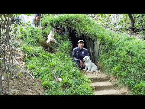 Rescue Puppy & Building Complete Bushcraft Earth Hut Bamboo Grass Roof - Survival Shelter Episode 2