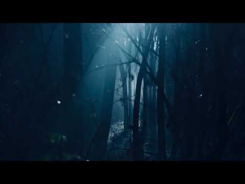 Spiritual Tony - Back In June (528hz w/ lyrics)