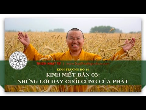 Kinh trường bộ 16 - Kinh Niết bàn 03 - Những lời dạy cuối cùng của Phật (15/06/2014) - Thích Nhật Từ