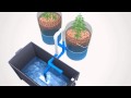 Super Simple Ebb & Flow Hydroponics System