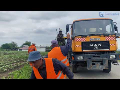 #Suceava  #PimenSuceveanul