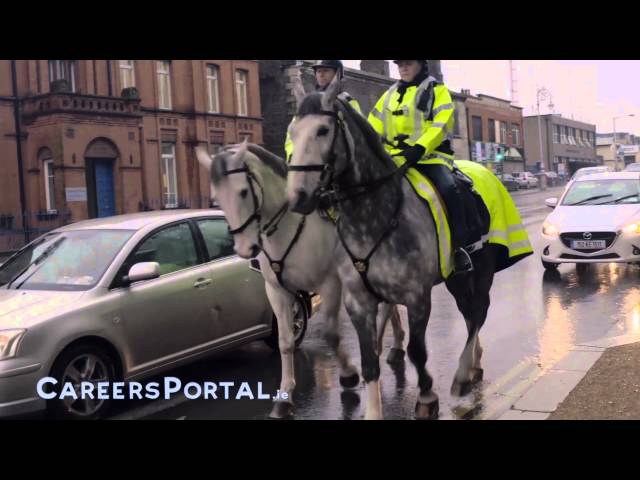 An Garda S�och�na