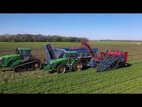 2020 Carrot Harvest with the Crop Shuttle