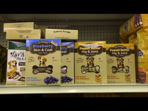 download lagu mp3 mp4 Hip Bones Dog Treats, download lagu Hip Bones Dog Treats gratis, unduh video klip Hip Bones Dog Treats
