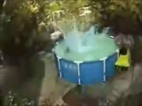 Bam Margera - Pure Insanity