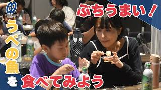 ぶちうまい！親子で「うべの魚」旬や簡単レシピ学ぶ【宇部】
