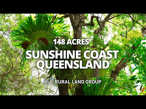 Lot 176 Bellthorpe Road, Conondale, Sunshine Coast, 0 રૂમ, 0 બાથરૂમ, Lifestyle Property
