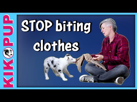 STOP UNWANTED behaviors with BACK UP