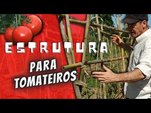 , title : 'Como fazer estrutura para tomateiros com canas'