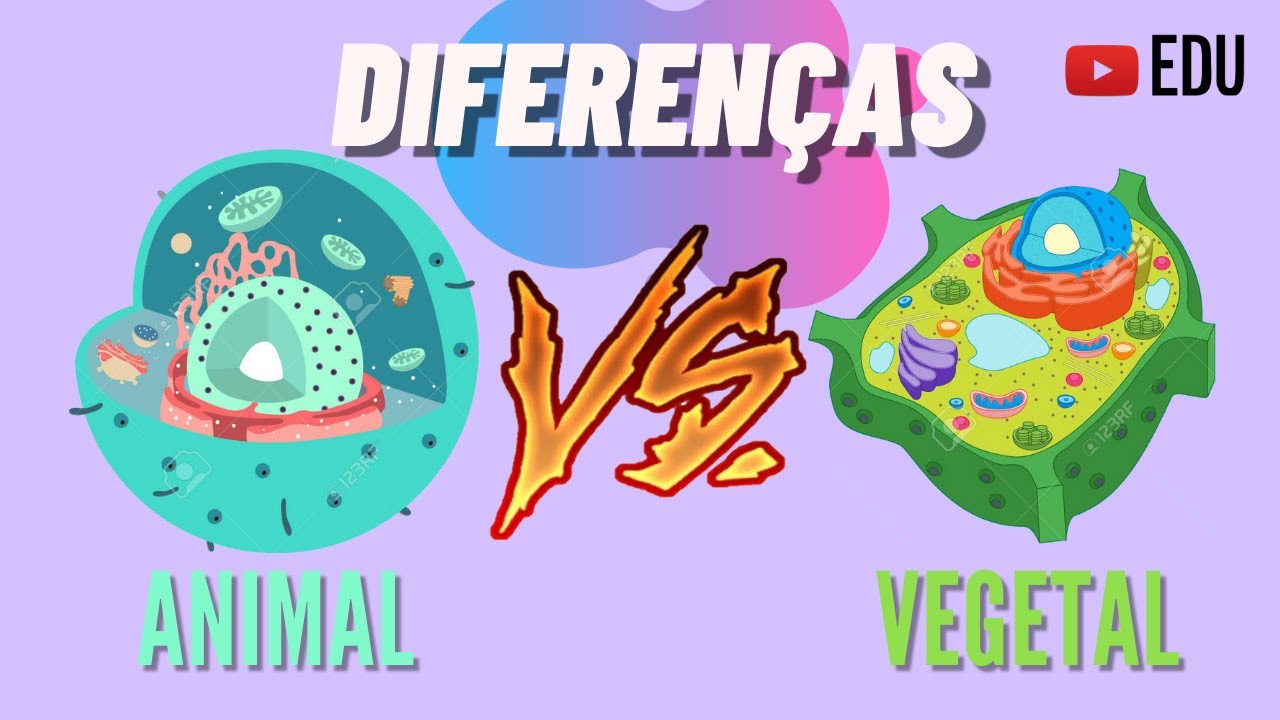 CÉLULA ANIMAL E CÉLULA VEGETAL - DIFERENÇAS | ANIMAÇÃO