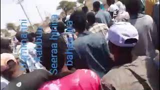 Download lagu Mormii Buqqaafamtoota warra Aabbuu bishooftuutti mp3