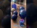 Graduation Party Decor Ideas Share Shortsfeed Decoration Graduation Party Trending Balloons Asmr