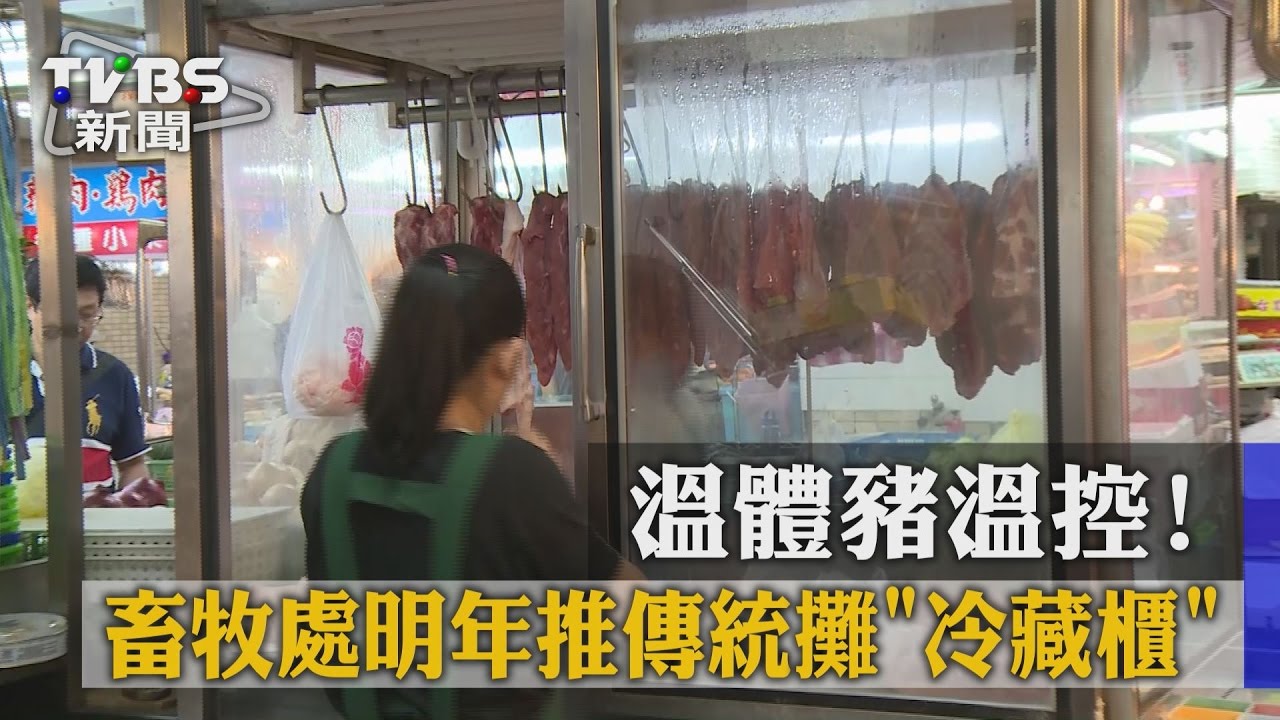 溫體豬溫控! 畜牧處明年推傳統攤冷藏櫃