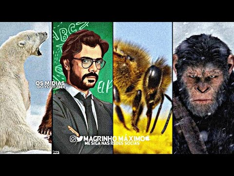 NO MANGUINHO É O MANO ABELHA, LÁ NO COMPLEXO O MANO MACACO, NA FAZENDINHA ÉO PROFESSOR / FUNK TIKTOK