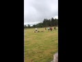 Morvern Highland Games 16 pound Hammer
